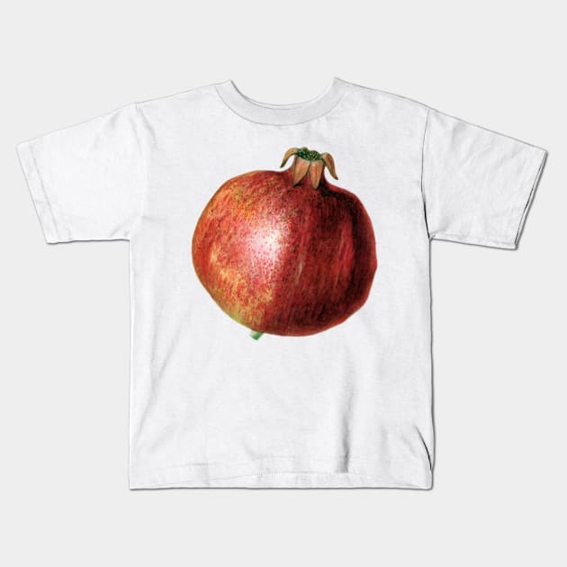 Pomegranate Kids T-Shirt by Slightly Unhinged